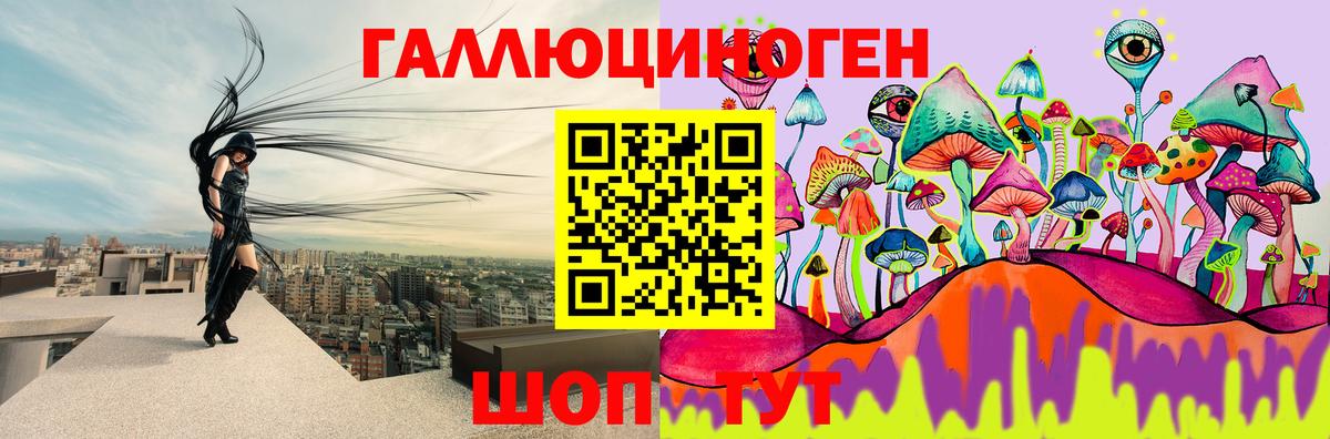 Псилоцибиновые грибы Psilocybe Сунжа